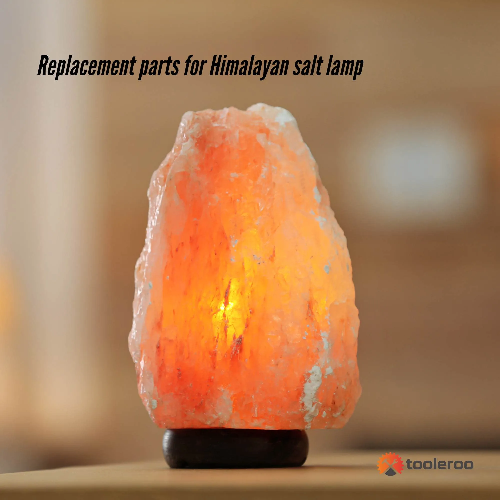 12V 12W Light Bulb On/Off Switch for Himalayan Salt Lamp | Replacement Accessories