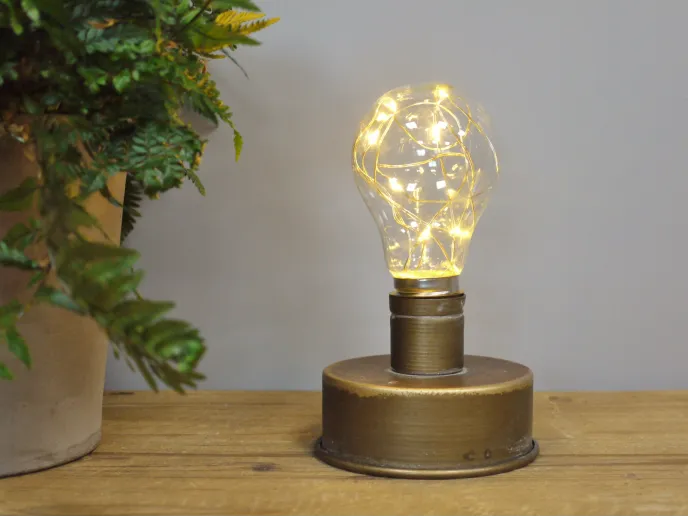 Industrial light - single bulb - battery operated