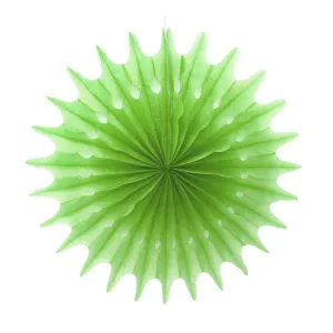 Light Green Decorative Fan 30cm